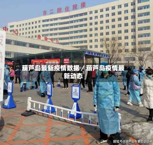 葫芦岛最新疫情数据／葫芦岛疫情最新动态-第2张图片
