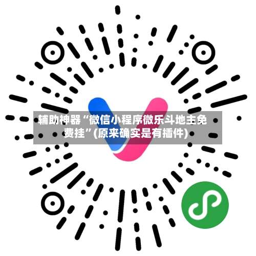 辅助神器“微信小程序微乐斗地主免费挂”(原来确实是有插件)-第3张图片