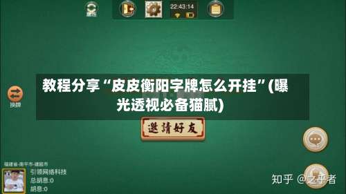 教程分享“皮皮衡阳字牌怎么开挂	”(曝光透视必备猫腻)-第2张图片