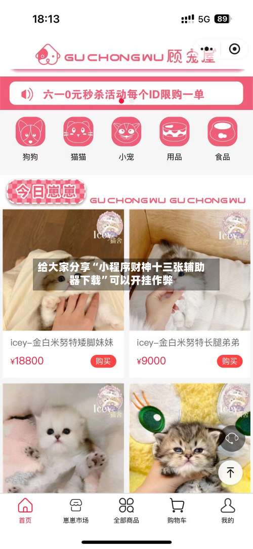 给大家分享“小程序财神十三张辅助器下载”可以开挂作弊-第1张图片