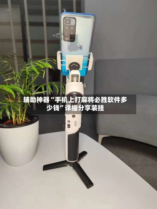 辅助神器“手机上打麻将必胜软件多少钱”详细分享装挂-第3张图片