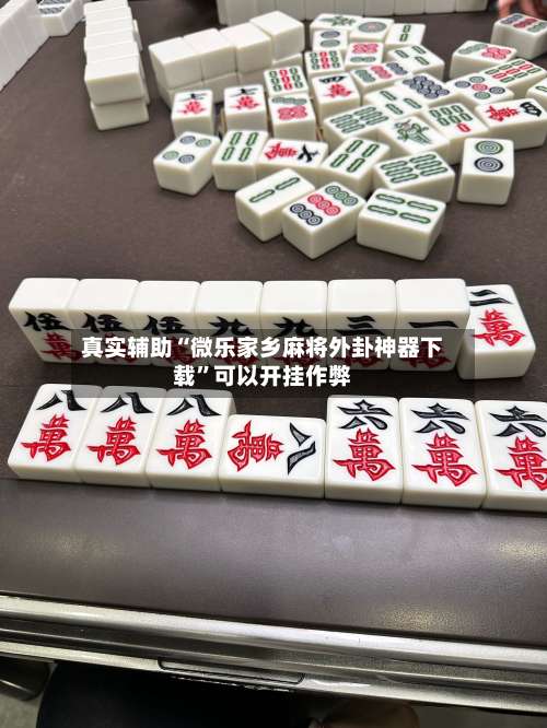真实辅助“微乐家乡麻将外卦神器下载”可以开挂作弊-第3张图片
