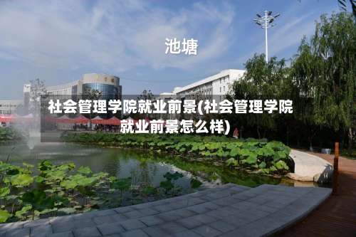 社会管理学院就业前景(社会管理学院就业前景怎么样)-第2张图片
