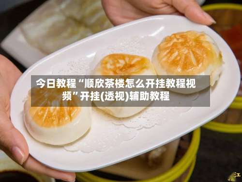 今日教程“顺欣茶楼怎么开挂教程视频	”开挂(透视)辅助教程-第2张图片