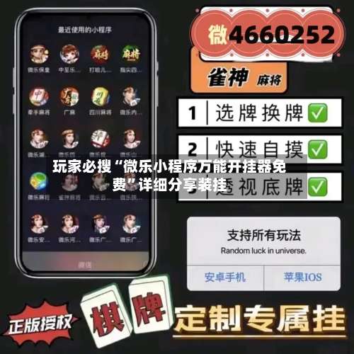 玩家必搜“微乐小程序万能开挂器免费”详细分享装挂-第3张图片