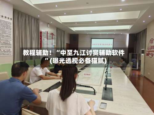 教程辅助！“中至九江讨赏辅助软件”(曝光透视必备猫腻)-第3张图片