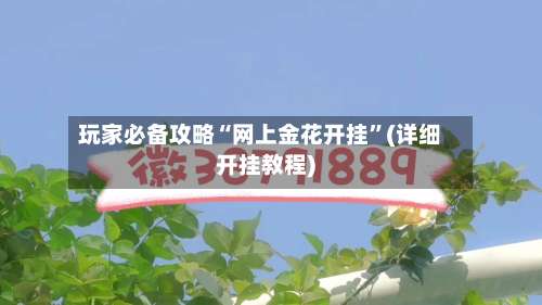 玩家必备攻略“网上金花开挂”(详细开挂教程)-第1张图片