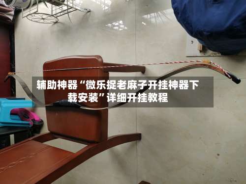 辅助神器“微乐捉老麻子开挂神器下载安装”详细开挂教程-第2张图片