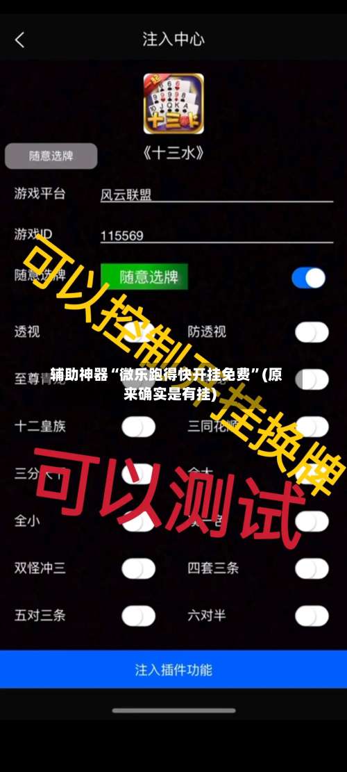 辅助神器“微乐跑得快开挂免费”(原来确实是有挂)-第3张图片