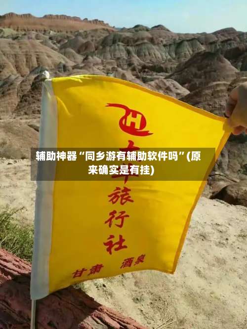 辅助神器“同乡游有辅助软件吗”(原来确实是有挂)-第2张图片