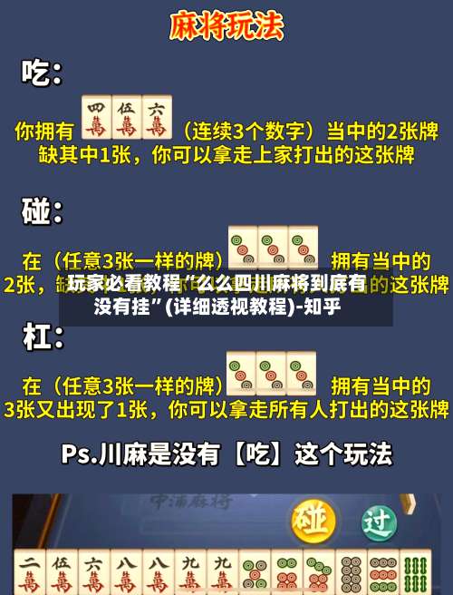 玩家必看教程“么么四川麻将到底有没有挂”(详细透视教程)-知乎-第3张图片