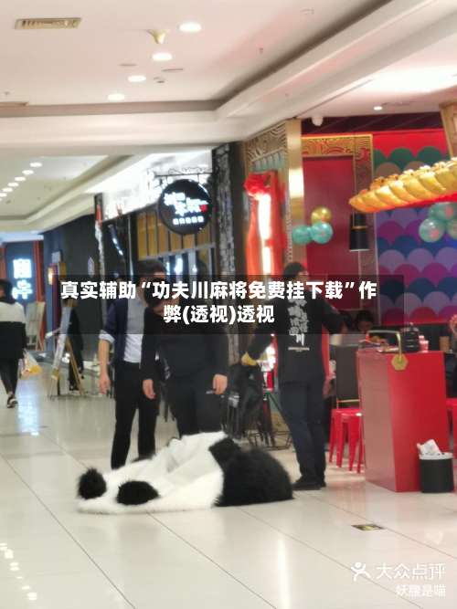 真实辅助“功夫川麻将免费挂下载”作弊(透视)透视-第2张图片