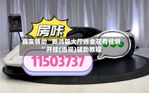 真实辅助“新鸿狐大厅炸金花有挂吗”开挂(透视)辅助教程-第1张图片