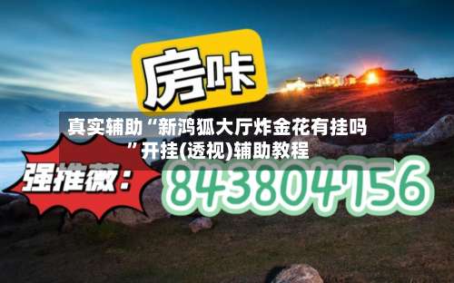 真实辅助“新鸿狐大厅炸金花有挂吗	”开挂(透视)辅助教程-第2张图片