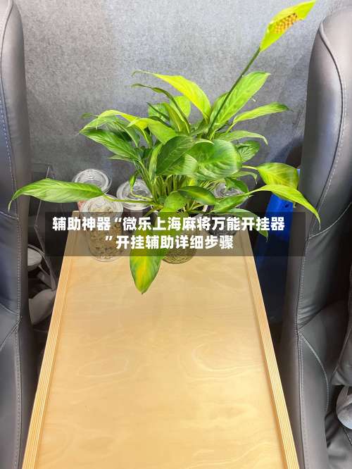 辅助神器“微乐上海麻将万能开挂器”开挂辅助详细步骤-第1张图片