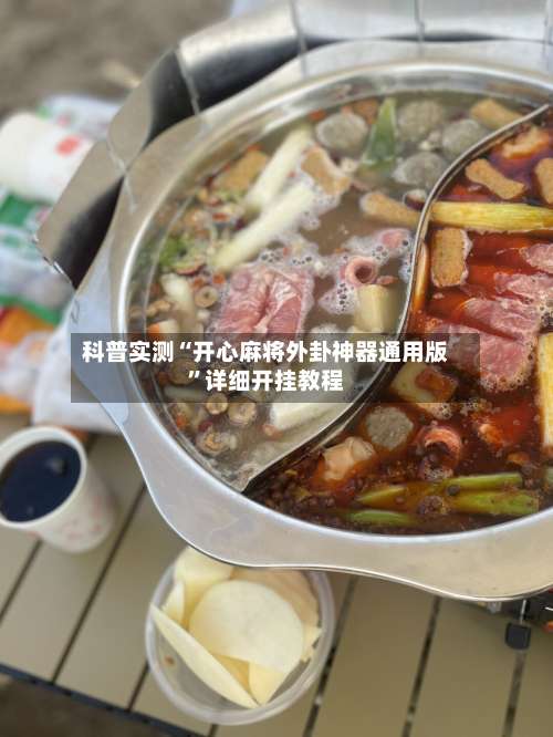 科普实测“开心麻将外卦神器通用版”详细开挂教程-第3张图片