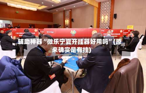 辅助神器“微乐宁夏开挂器好用吗”(原来确实是有挂)-第2张图片