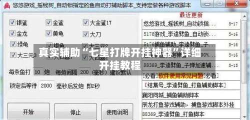 真实辅助“七星打牌开挂神器”详细开挂教程-第1张图片