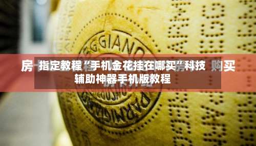 指定教程“手机金花挂在哪买”科技辅助神器手机版教程-第2张图片