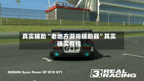 真实辅助“老地方游戏辅助器	”其实确实有挂-第2张图片