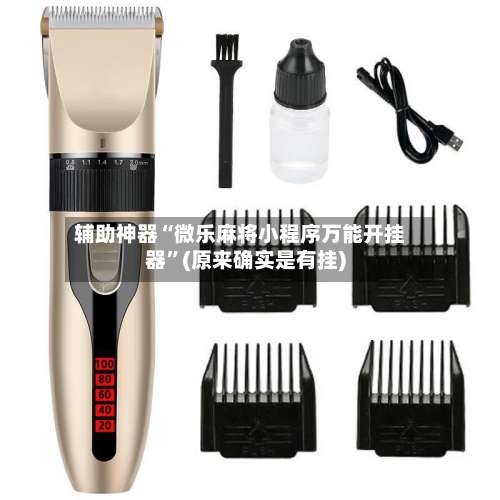 辅助神器“微乐麻将小程序万能开挂器	”(原来确实是有挂)-第1张图片