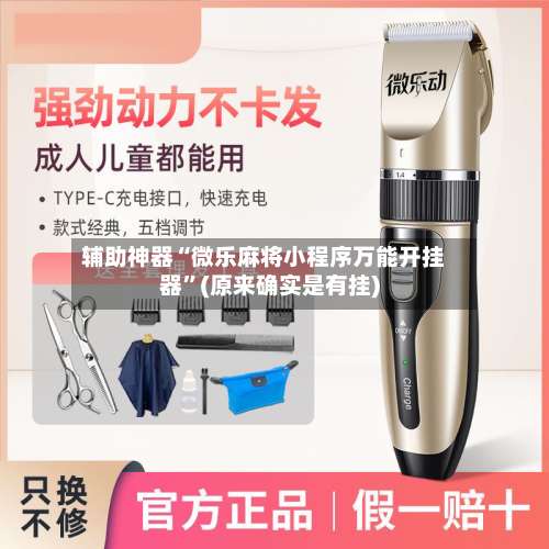 辅助神器“微乐麻将小程序万能开挂器”(原来确实是有挂)-第2张图片