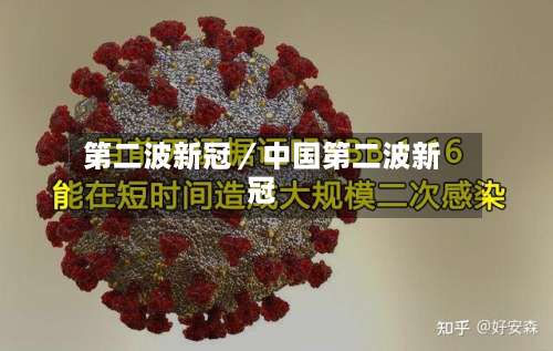 第二波新冠／中国第二波新冠-第3张图片