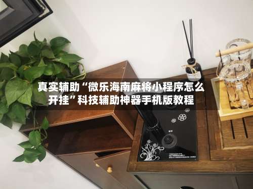 真实辅助“微乐海南麻将小程序怎么开挂”科技辅助神器手机版教程-第2张图片