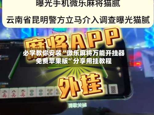必学教你安装“微乐麻将万能开挂器免费苹果版”分享用挂教程-第2张图片