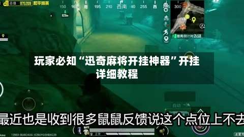 玩家必知“迅奇麻将开挂神器”开挂详细教程-第2张图片