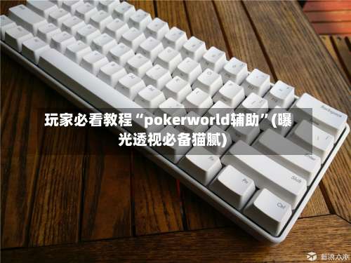 玩家必看教程“pokerworld辅助”(曝光透视必备猫腻)-第1张图片