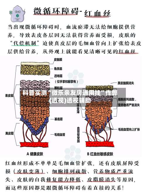 科普实测“微乐亲友房通用挂”作弊(透视)透视辅助-第2张图片