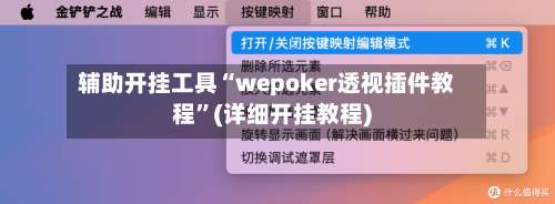 辅助开挂工具“wepoker透视插件教程	”(详细开挂教程)-第2张图片