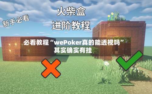 必看教程“wePoker真的能透视吗”其实确实有挂-第2张图片