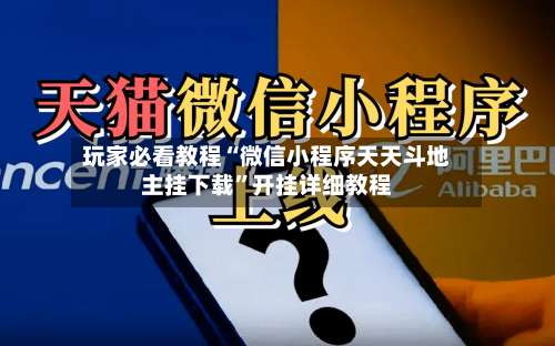 玩家必看教程“微信小程序天天斗地主挂下载”开挂详细教程-第2张图片