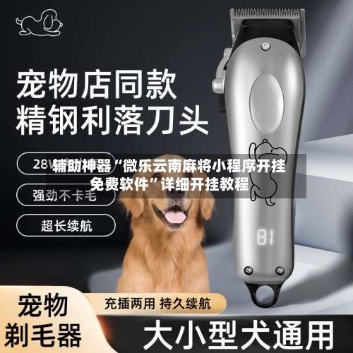 辅助神器“微乐云南麻将小程序开挂免费软件	”详细开挂教程-第1张图片