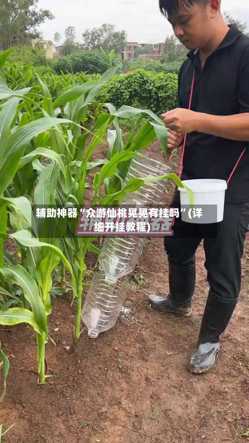 辅助神器“众游仙桃晃晃有挂吗	”(详细开挂教程)-第2张图片