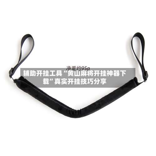 辅助开挂工具“黄山麻将开挂神器下载	”真实开挂技巧分享-第1张图片