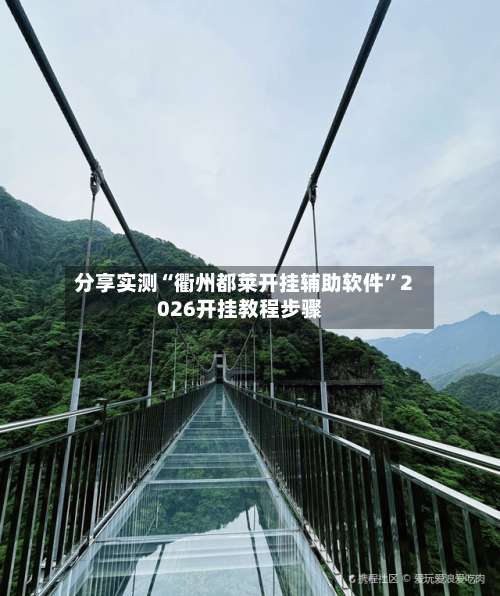 分享实测“衢州都莱开挂辅助软件”2026开挂教程步骤-第3张图片