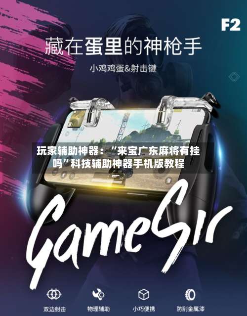 玩家辅助神器：“来宝广东麻将有挂吗”科技辅助神器手机版教程-第1张图片