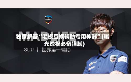 独家解答“老板互娱辅助专用神器”(曝光透视必备猫腻)-第1张图片