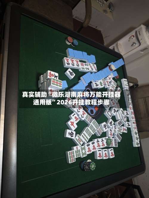 真实辅助“微乐湖南麻将万能开挂器通用版”2026开挂教程步骤-第1张图片