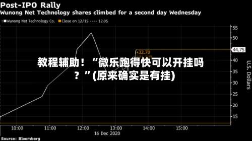 教程辅助！“微乐跑得快可以开挂吗？”(原来确实是有挂)-第2张图片