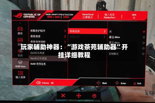 玩家辅助神器：“游戏茶苑辅助器	”开挂详细教程-第3张图片