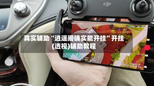 真实辅助“逍遥阁确实能开挂”开挂(透视)辅助教程-第3张图片