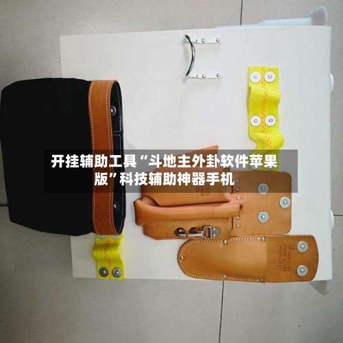 开挂辅助工具“斗地主外卦软件苹果版	”科技辅助神器手机-第1张图片