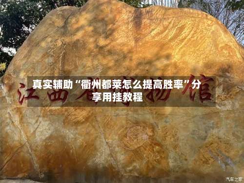 真实辅助“衢州都莱怎么提高胜率	”分享用挂教程-第1张图片