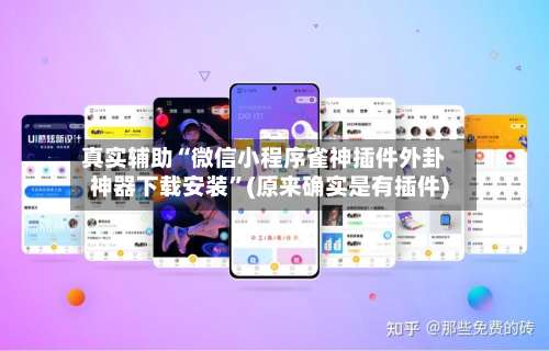 真实辅助“微信小程序雀神插件外卦神器下载安装”(原来确实是有插件)-第1张图片