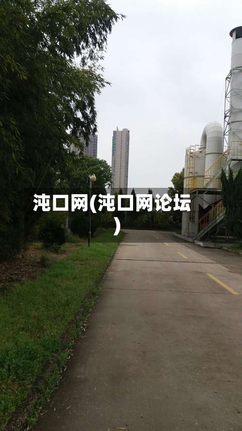 沌口网(沌口网论坛)-第1张图片