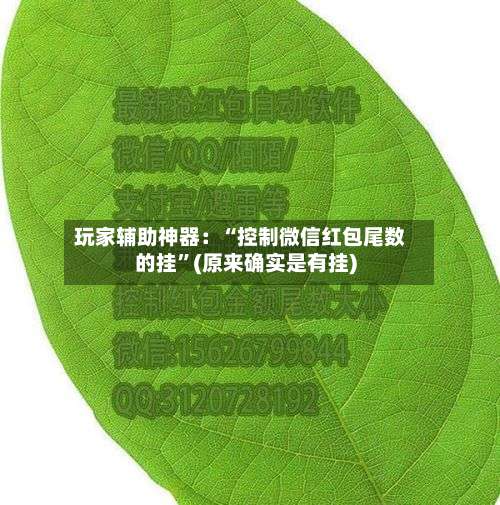 玩家辅助神器：“控制微信红包尾数的挂	”(原来确实是有挂)-第1张图片